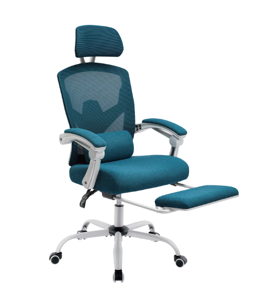 Chaise Ergonomique