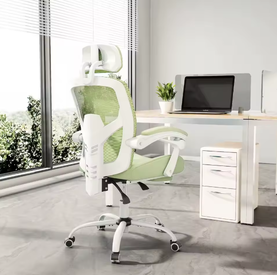 Chaise Ergonomique